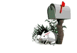 mail.gif (22382 bytes)